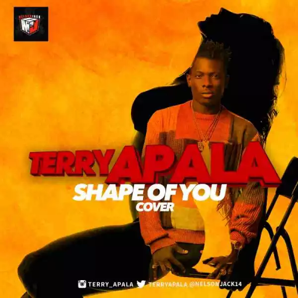 Terry Apala - Shape of You (Ed Sheeran Cover)